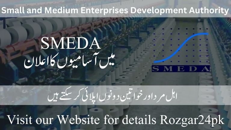 SMEDA Jobs